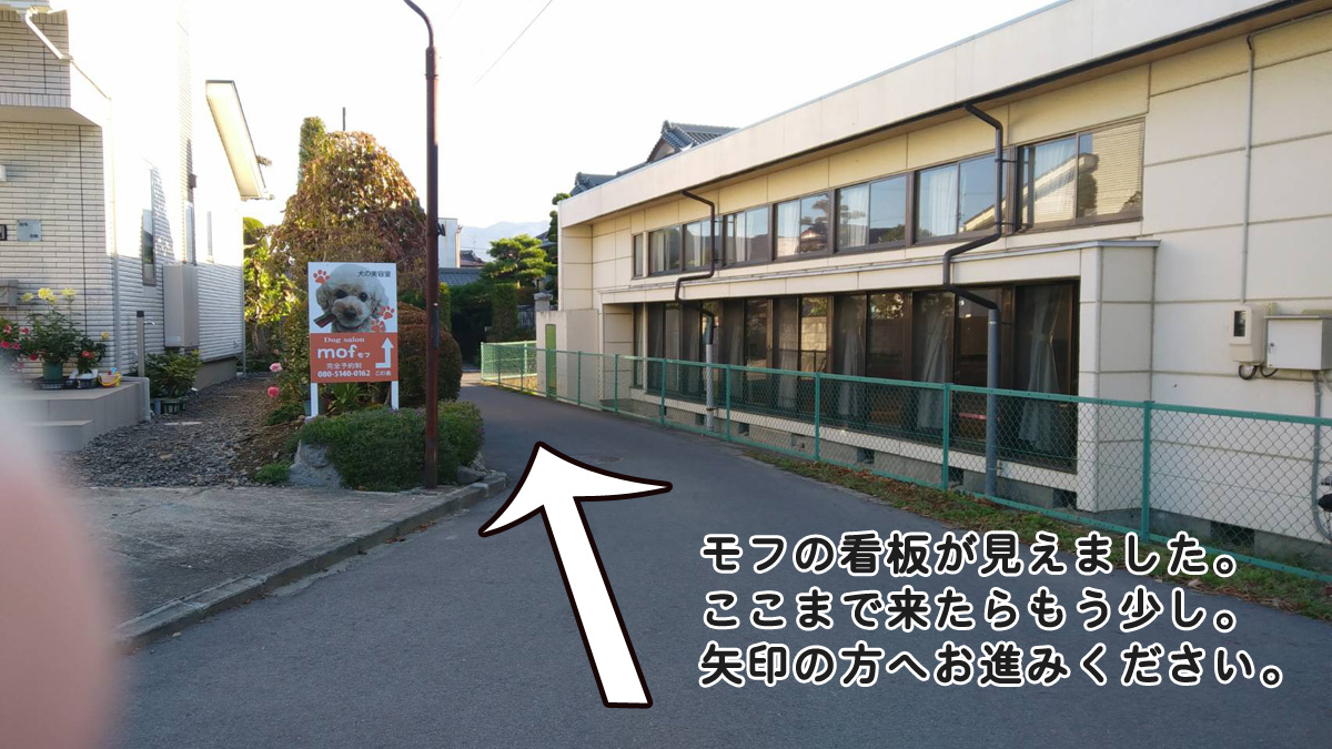 辰野方面からドッグサロンモフへの道４